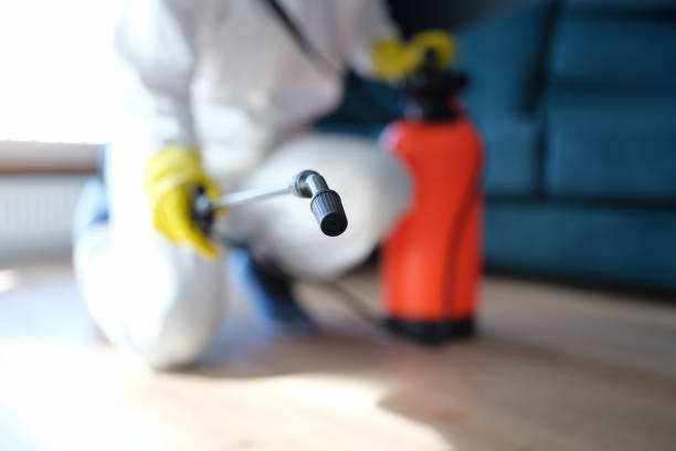 Bridgeport, NY Mold Removal Company